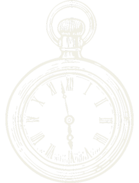 fobwatch-illustration-reverse