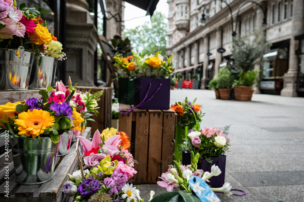 bloomsbury