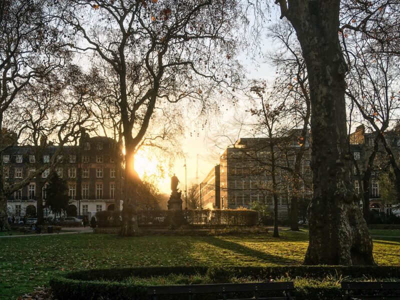 Sunlight shines through onto the leafy green Russell Square on a winter morning.